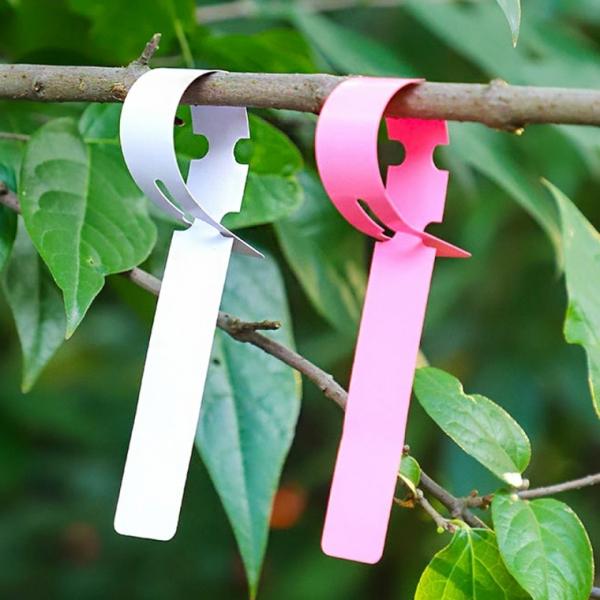 리본 식물 나무 걸이 이름표 네임택 200p (특가)