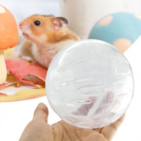 햄스터 놀이터 운동 헬스 쳇바퀴 볼 장난감 (특가)