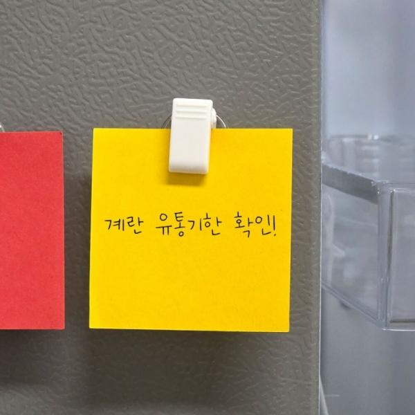 미니 회전 플라스틱 집게