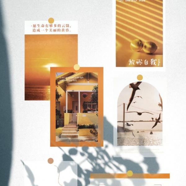 컬러 엽서 모음 소망
