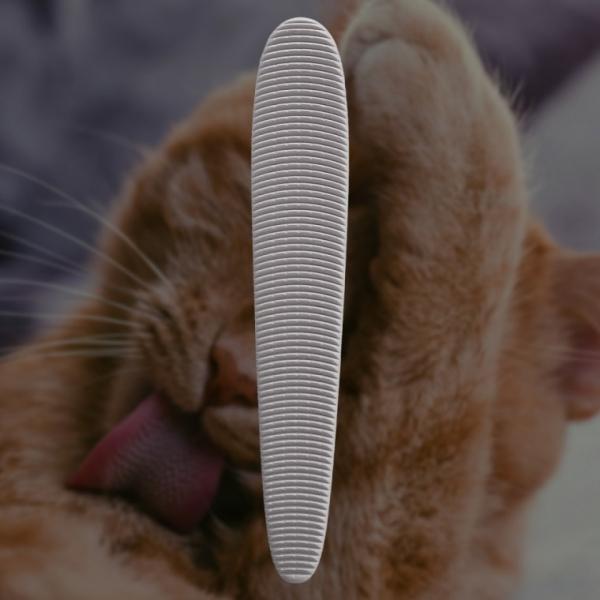 고양이 브러쉬 그루밍 털 빗 혓바닥