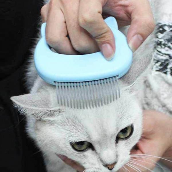 고양이 힐링 브러쉬 마사지 그루머 죽은털 제거(특가)