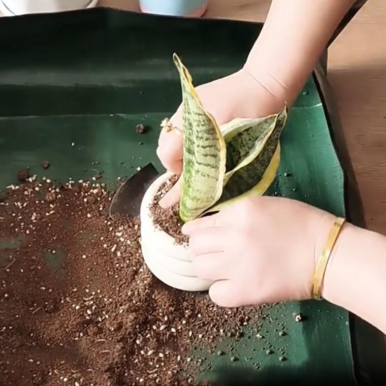 가드닝 분갈이 화분 매트 원예 실물 베란다 L 가든