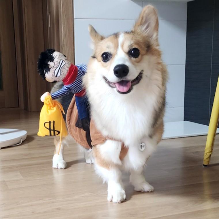 의류 강아지 할로윈 옷 코스튬 애견 약탈범 L 코스프레