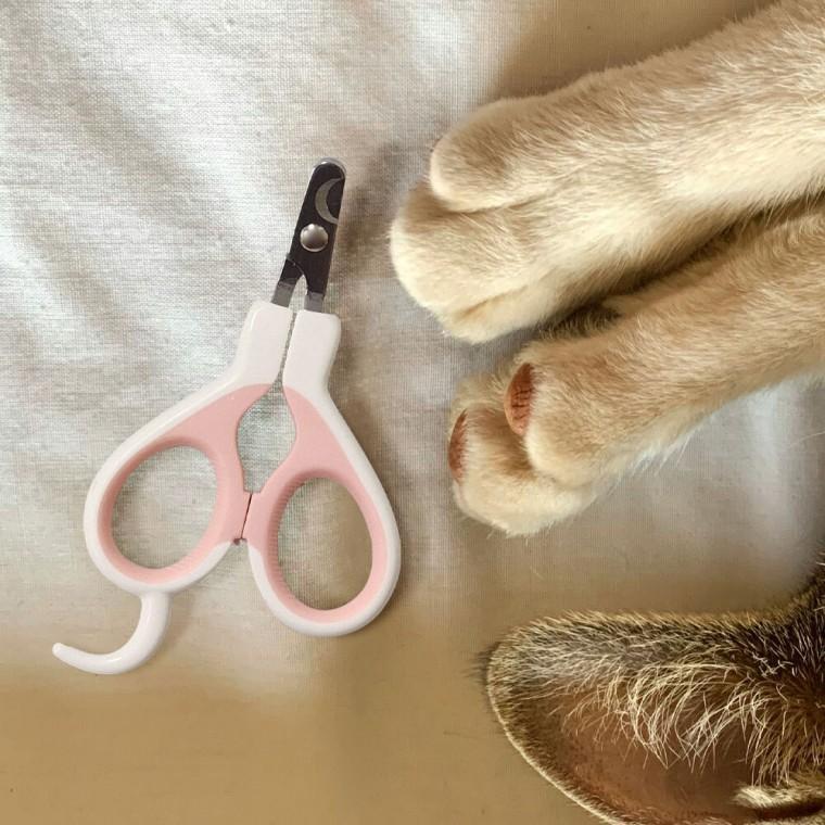 반려동물 강아지 발톱 깎이 고양이 셀프 손톱 가위 토끼