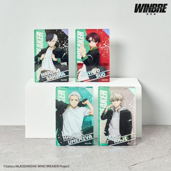 윈브레 타피오카 아크릴 블록