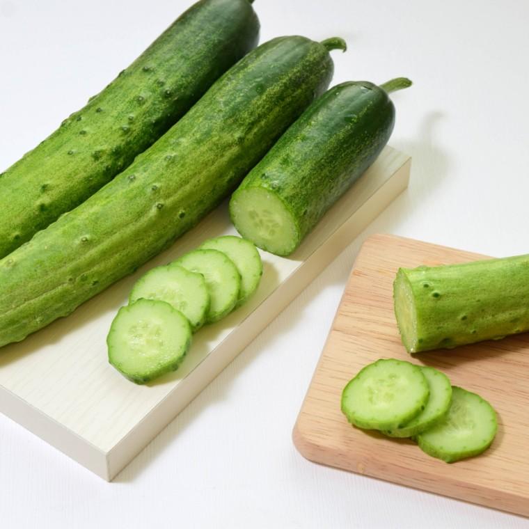 제철 신선한 다다기 백오이 2kg/3kg/4kg