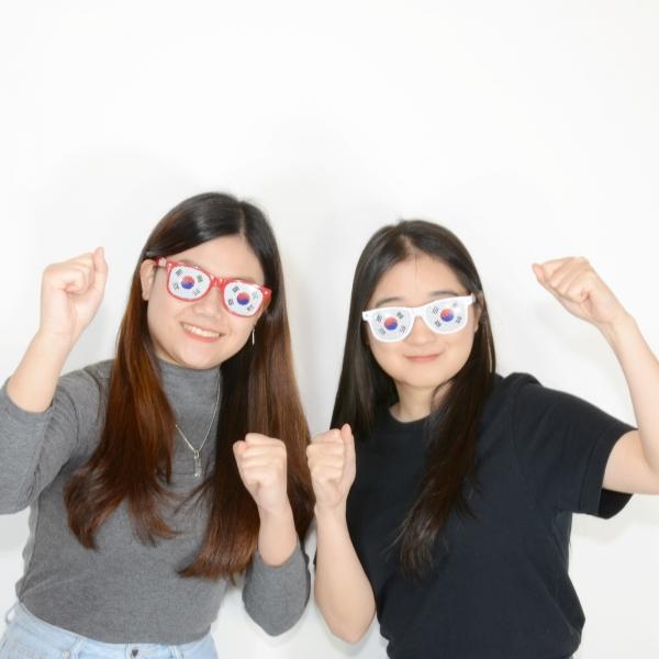 태극기 선글라스 국가대표 응원도구 태극기 굿즈