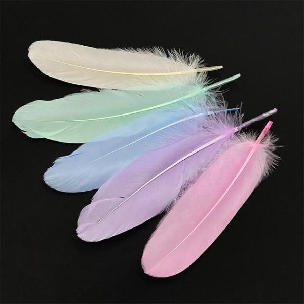 새깃털 소 대 구스 깃털장식 드림캐쳐 썬캐쳐