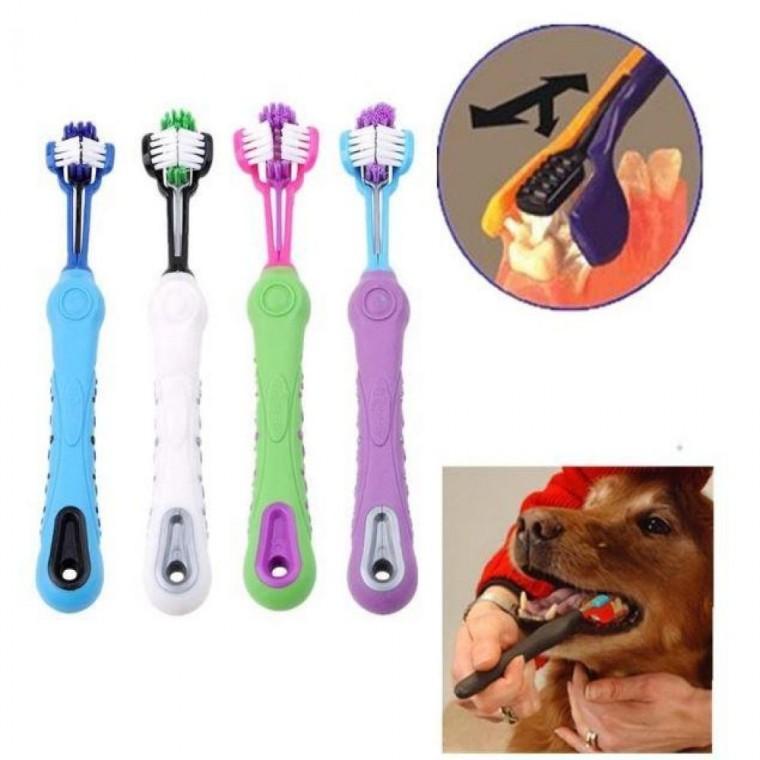 반려동물 칫솔 애완동물 개 브러쉬 치아 잇몸 반려견