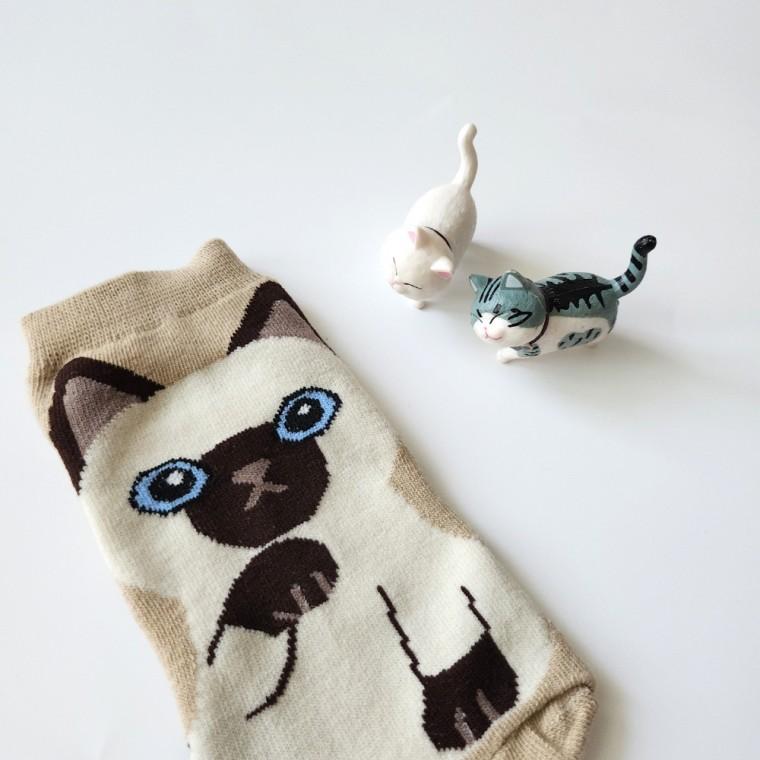 고양이 양말 베이지 cat socks 캣 삭스