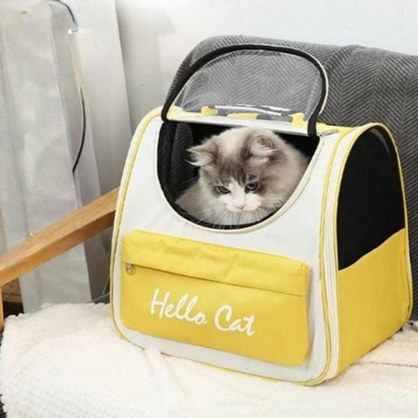 강아지산책 강아지 이동장 애견 고양이 이동장 어깨 메쉬