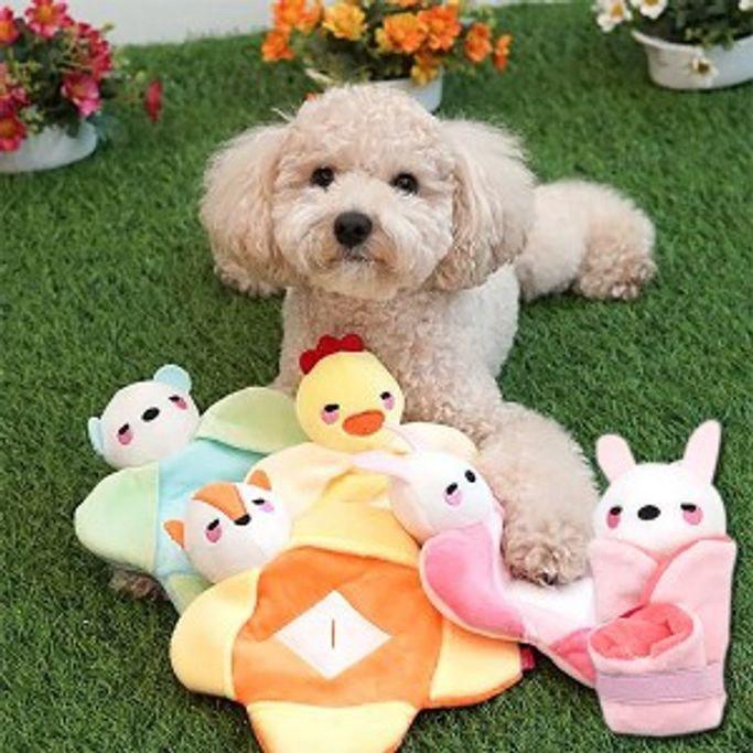 강아지 장난감 애견 노즈워크 토이 간식 놀이 랜덤
