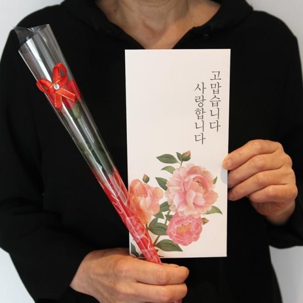 어버이날 스승의날 카네이션 꽃 용돈 봉투 세트 [조화 현금 돈 이벤트 선물 부모님 생신 생일 감사 기념일]