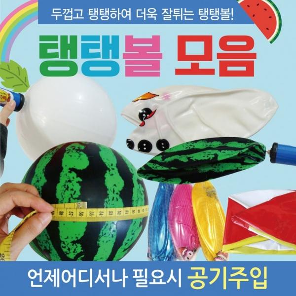 물놀이용품 [물놀이용품] 탱탱공 물놀이공 비치공 탱탱공용품 KC인증 비치볼 탱탱볼 물놀이용품