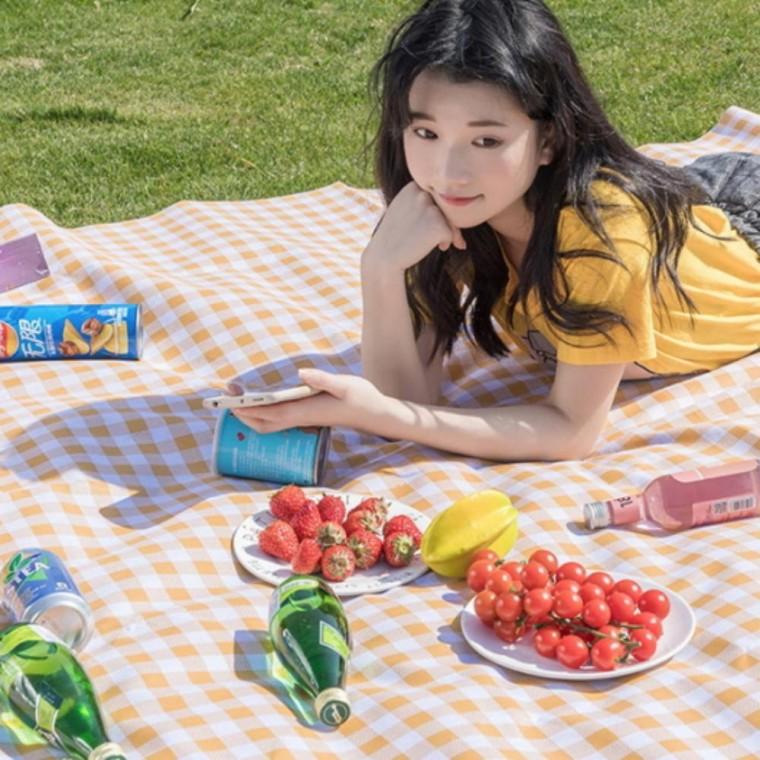 피크닉 캠핑 매트 체크 사이즈업 방수 돗자리