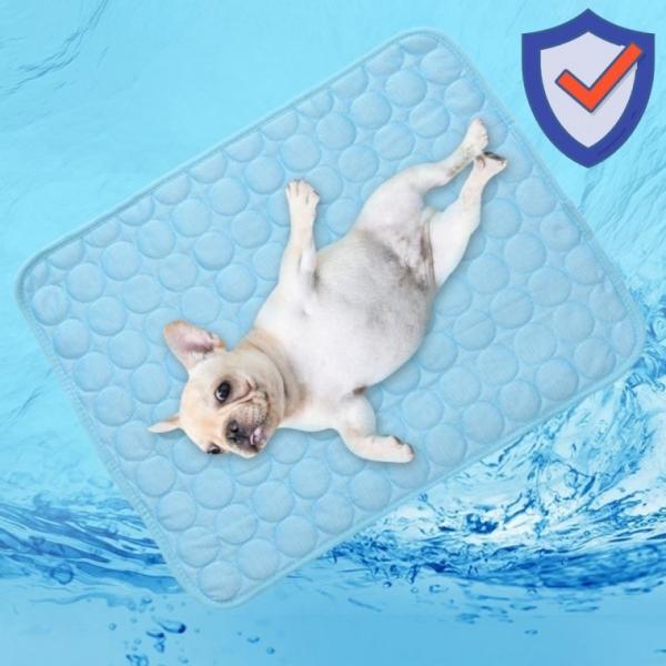 강아지 고양이 냉감 쿨 애견 방석 매트