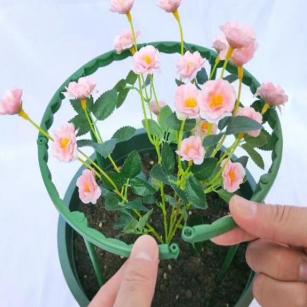 식물 화분 넝쿨 화초 넝쿨식물 지지대