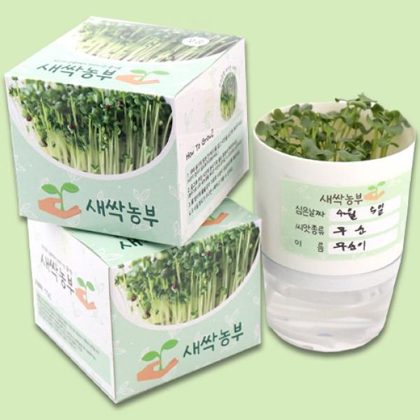 새싹농부 무순 본 1개 랜덤발송