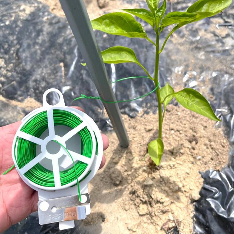 30cm 원예용 철사 식물고정 철심 타이 홈가드닝 철끈