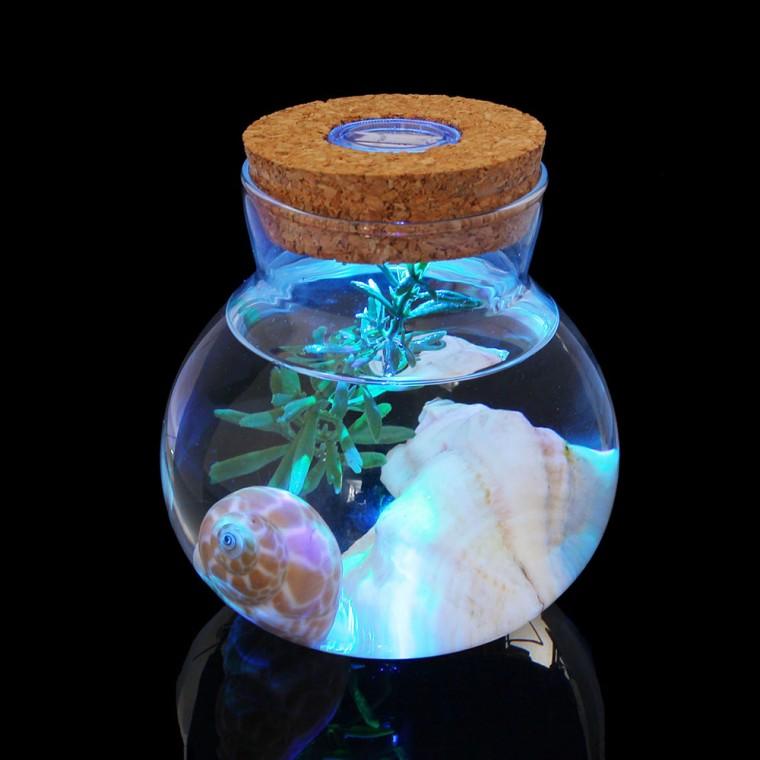 마리모 키우기 LED 코르크 유리병(10x11cm)/수초 화분 무드등