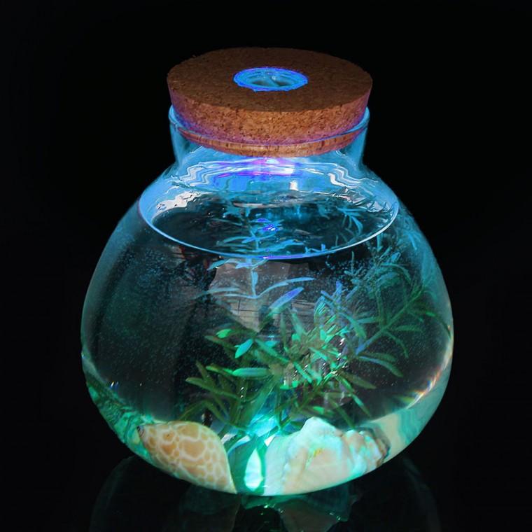 마리모 키우기 LED 코르크 유리병(15x16cm)/수초 화분 무드등