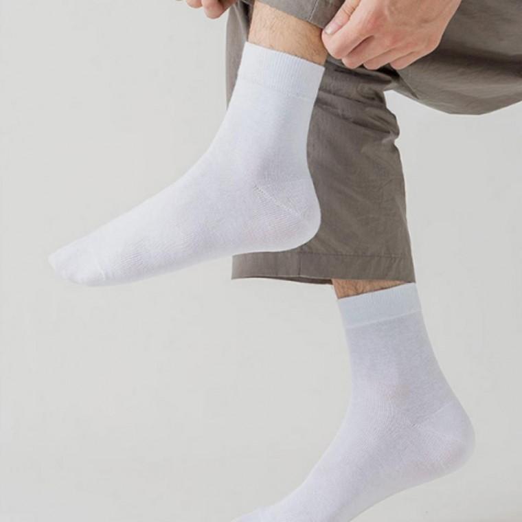 무지 데일리 순면 사계절양말 양말 5컬러 남자 중목양말