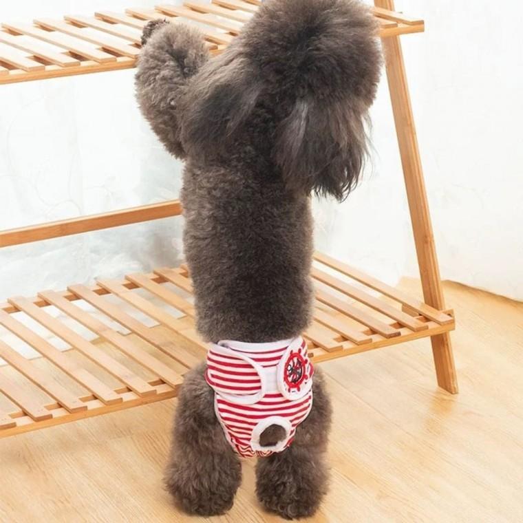 쏘투 강아지 찍찍이 생리팬티 위생팬티 기저귀 암컷 2XL