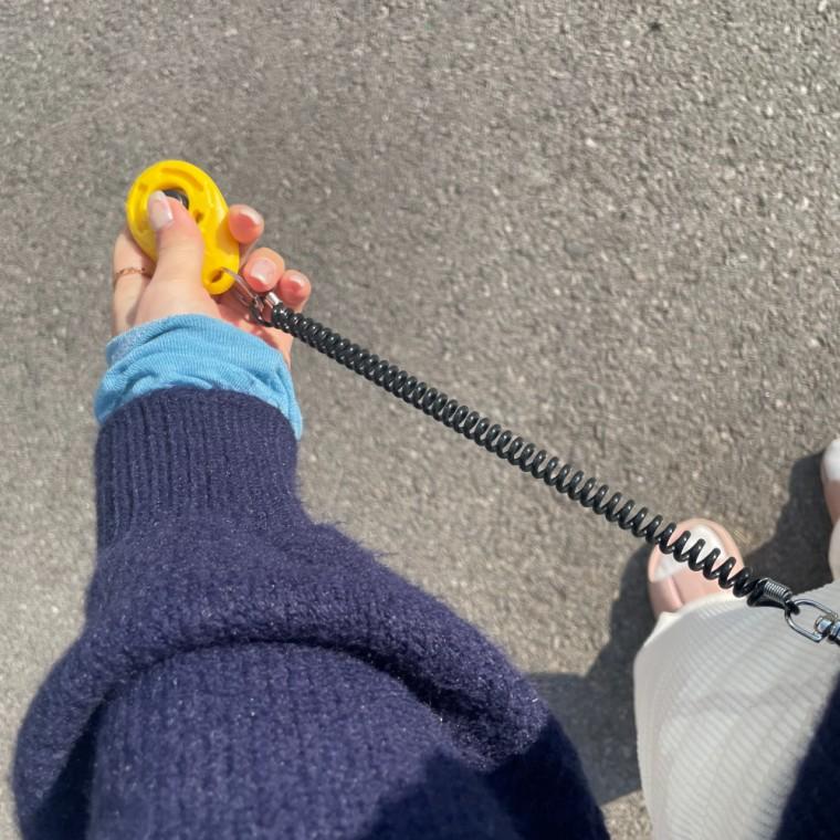훈련용 딸깍이 손목걸이 강아지 클리커