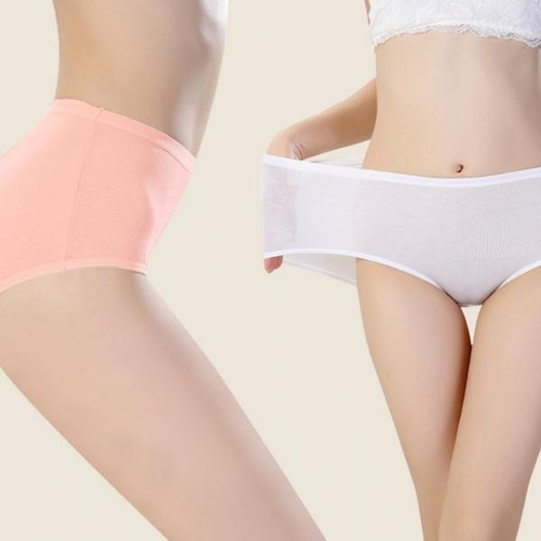 여성 베이직 면팬티 햄라인 순면 언더웨어 순면 인견