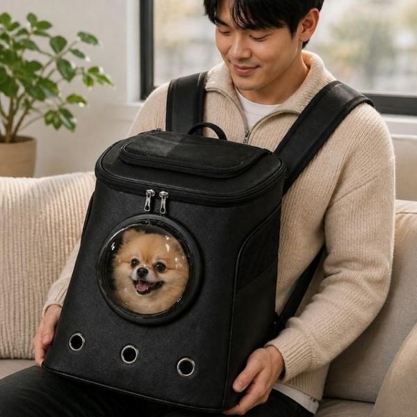 반려동물 투명창 이동가방 강아지 고양이 외출백팩 통풍 캐리어