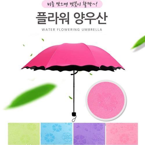 비오면 벗꽃이 플라워 암막 양우산 자외선차단 미니양산 우산