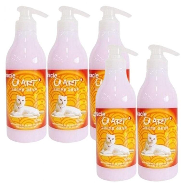 보습 5P 고양이 샴푸 올인원 윤기 목욕 셀프 520ml