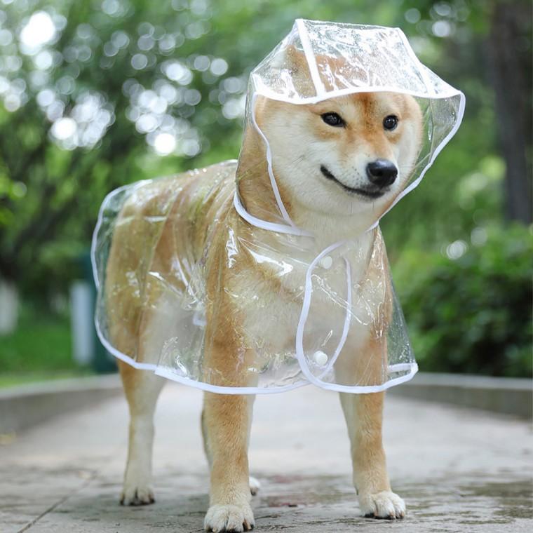 강아지 멍멍이 우비 애견우의 반려동물 레인코트 투명
