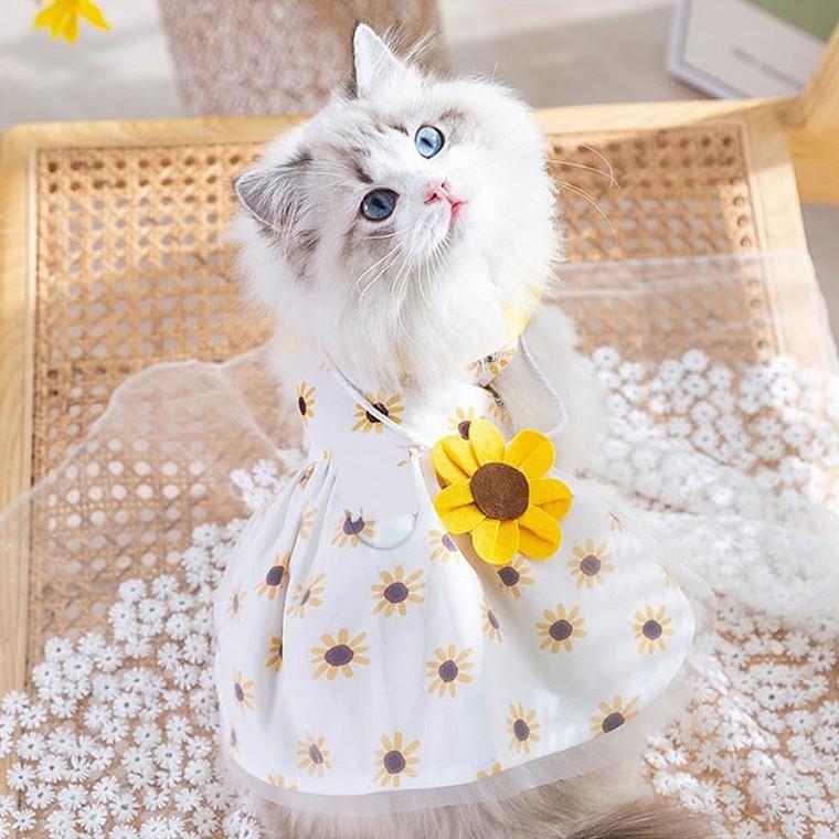 카라 해바라기 패턴 강아지 원피스 소형견 의상
