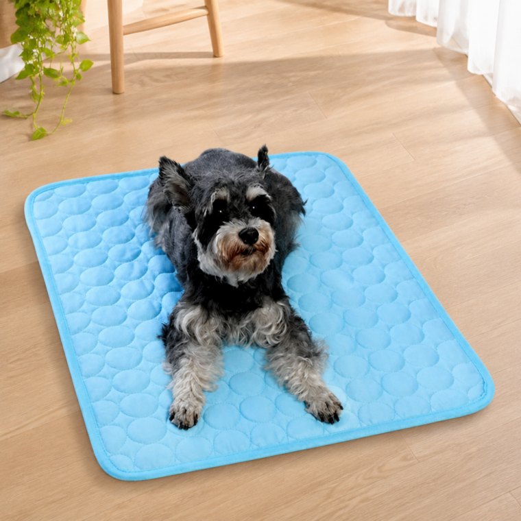 반려동물 쿨매트 강아지 냉감 방석 고양이 펫 여름 매트 55 70 XL