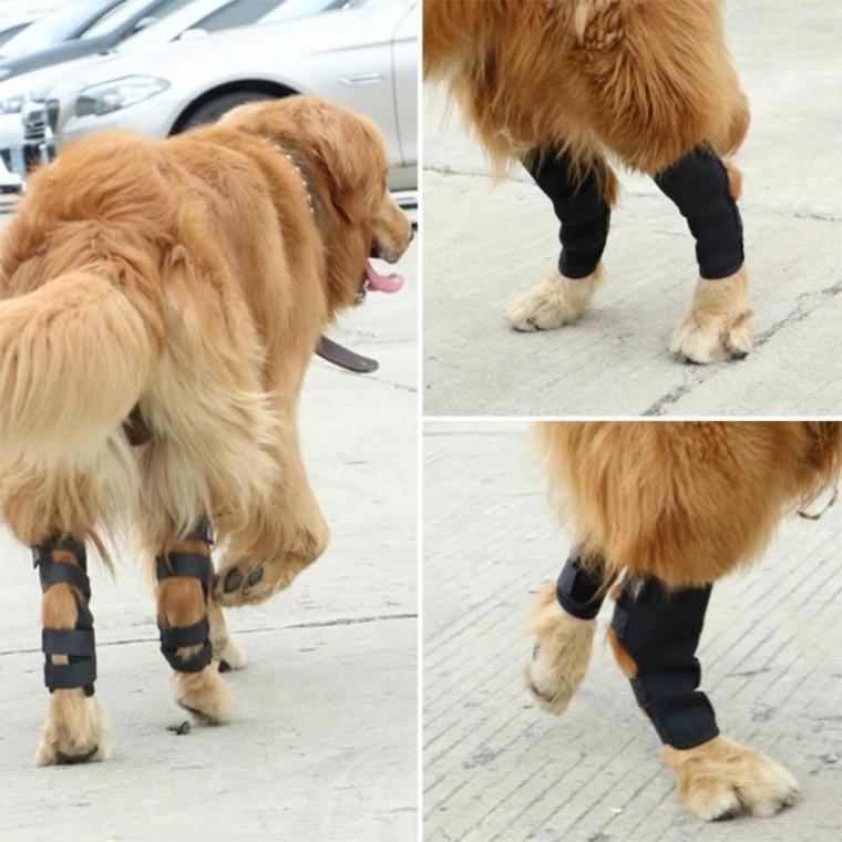 반려동물 관절 슬개골 보호대 서포터