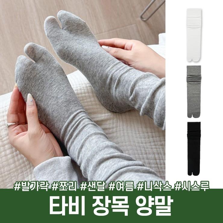 3102 타비 니삭스 여리핏 루즈 여름 얇은 양말