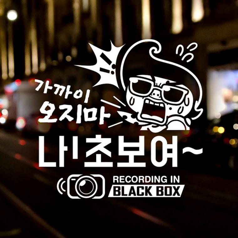 가까이오지마나초보여 반사시트지 자동차스티커