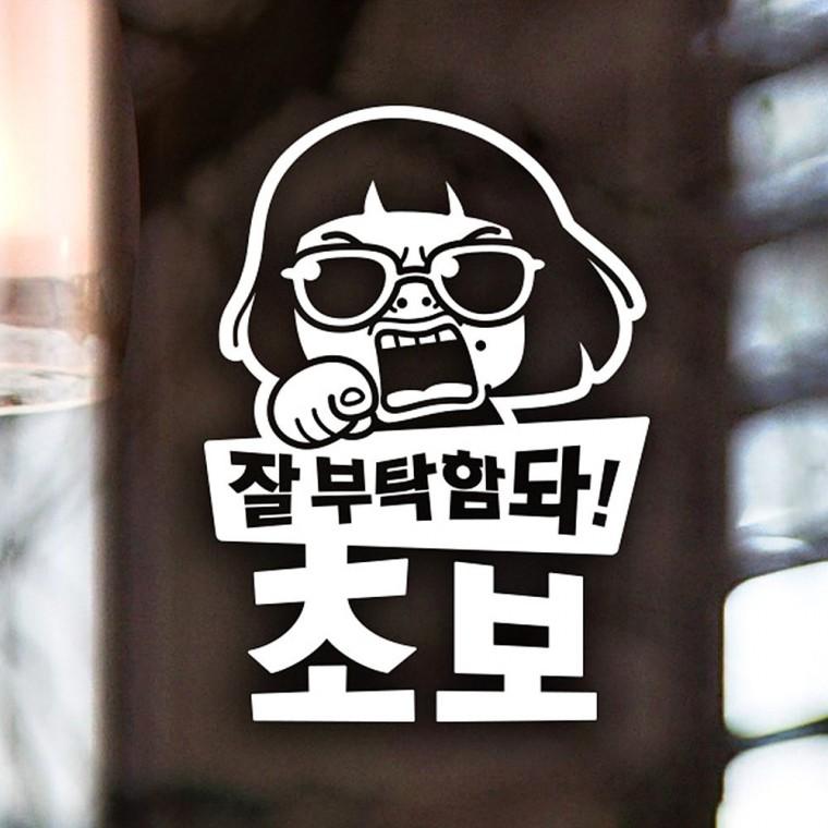 잘부탁함돠 초보 반사시트지 자동차스티커