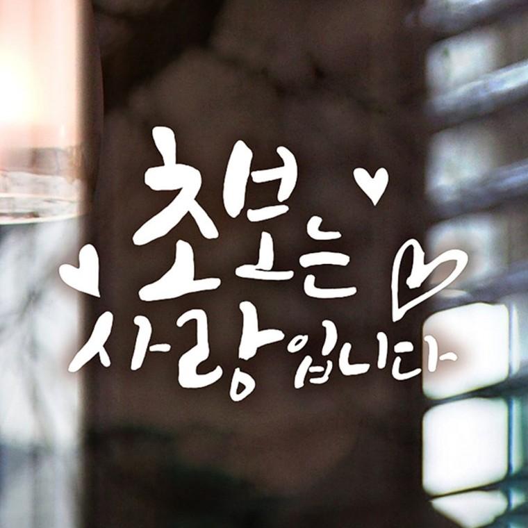 초보는사랑입니다 반사시트지 자동차스티커