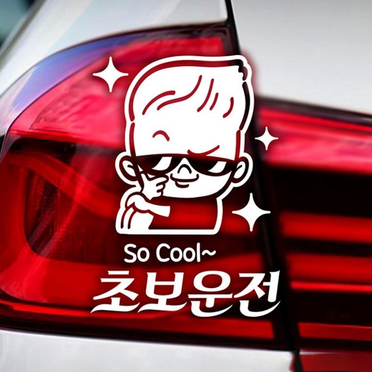 So Cool 초보운전 반사시트지 자동차스티커