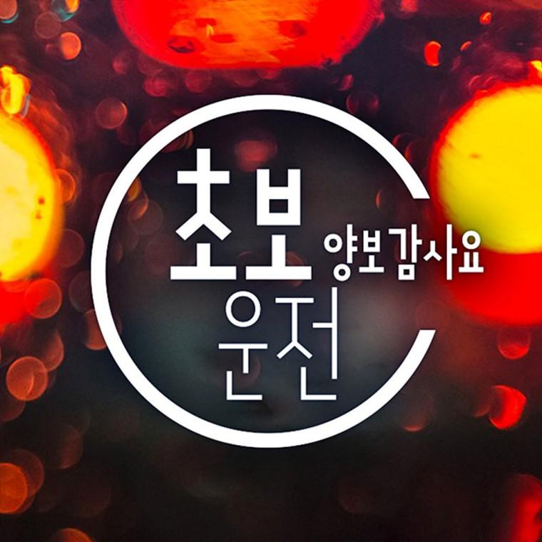 초보운전양보감사요 반사시트지 자동차스티커