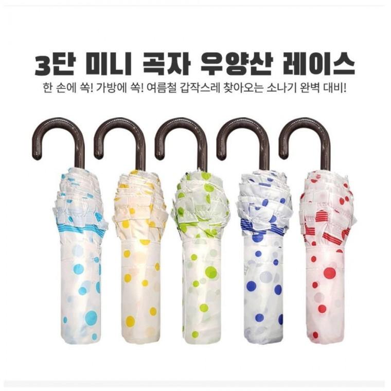 3단곡자 프리미엄 레이스 우양산 양산 장우산 모음전 선물용우산