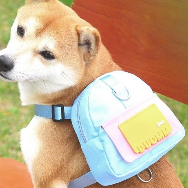 강아지 가방 산책 유치원 리드줄 하네스 PET