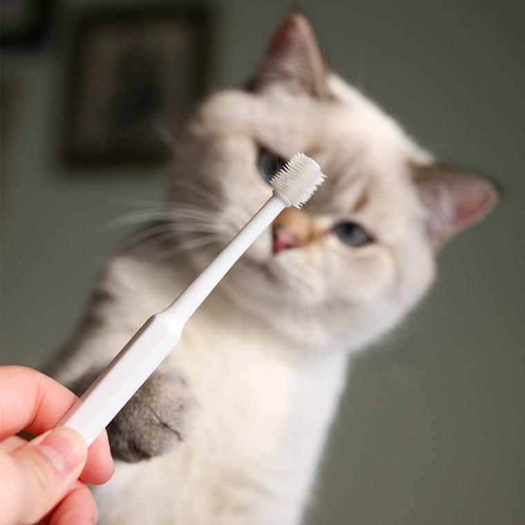 PET 강아지 고양이 칫솔 양치 입냄새 치석제거 원형 360도