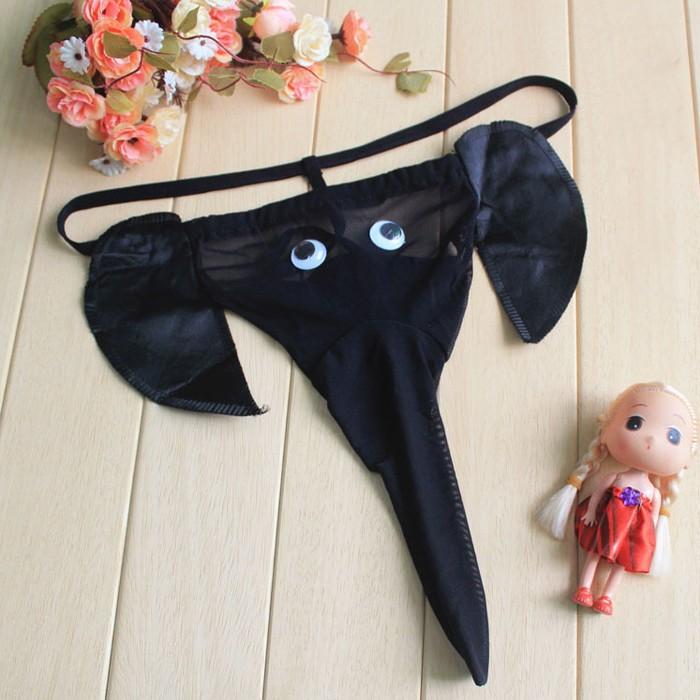 코끼리 팬티 남지티팬티 이벤트 속옷 마니또 생일선물