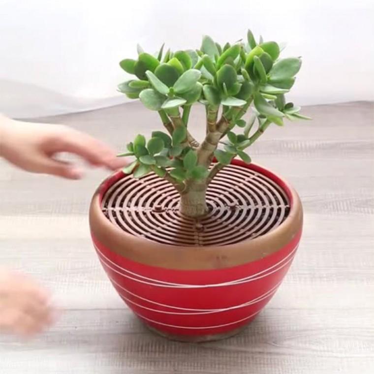 화분 고양이 아기 흙 만짐 날림 방지 커버 덮개 19cm
