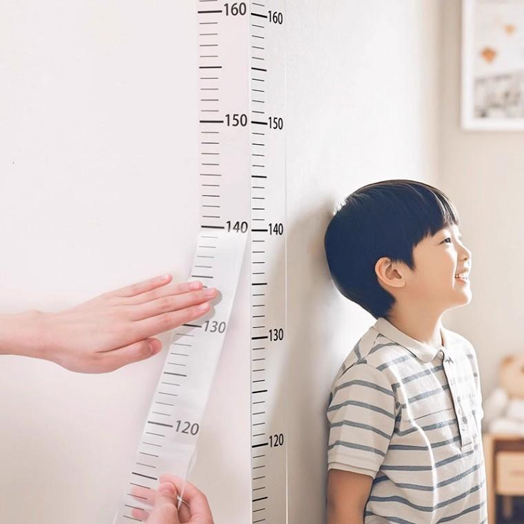 키재기 스티커 시트지 키측정 눈금자 200cm DD-13194