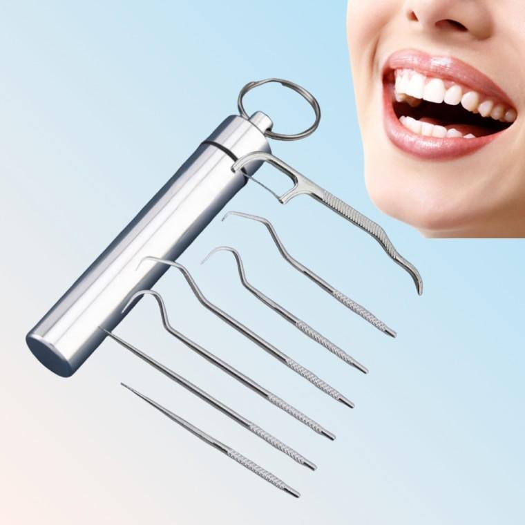 편한 구강케어 휴대용 스테인리스 이쑤시개 세트